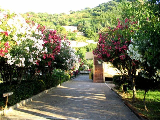 Villaggio Hotel Club Calanovellamare Пирайно Екстериор снимка